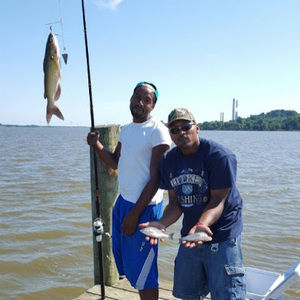 Meet your Posher, Stevens